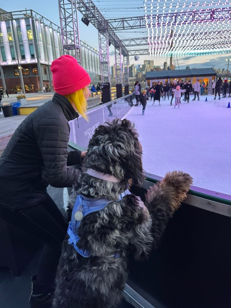 A dog with paws up at the rink