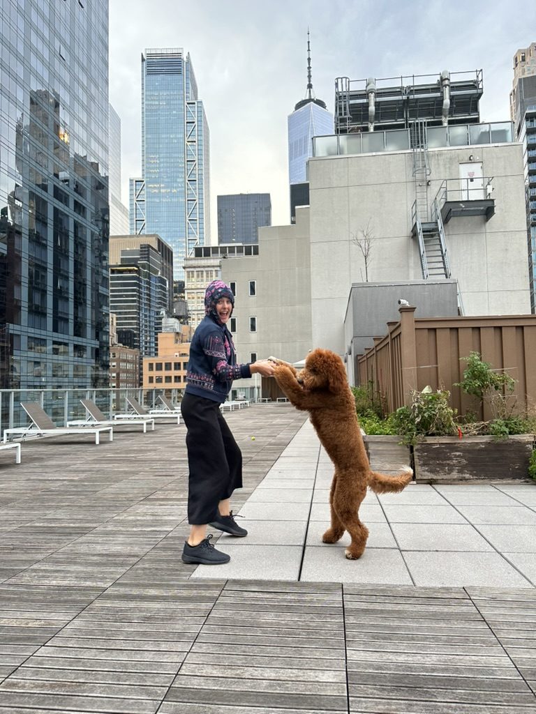 Dog leaping up to Britta on a rooftop