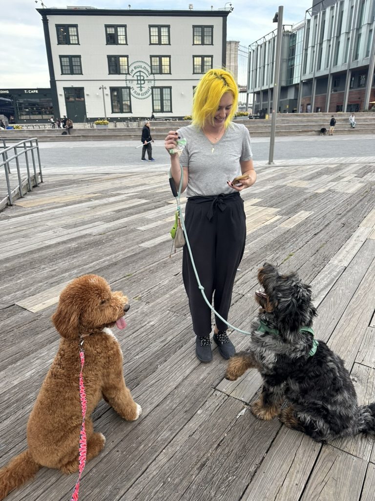 Britta training two dogs at the Seaport