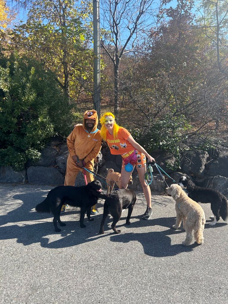 Britta walking a pack in a Yellow Dog tee